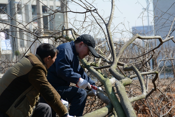 绿化现场